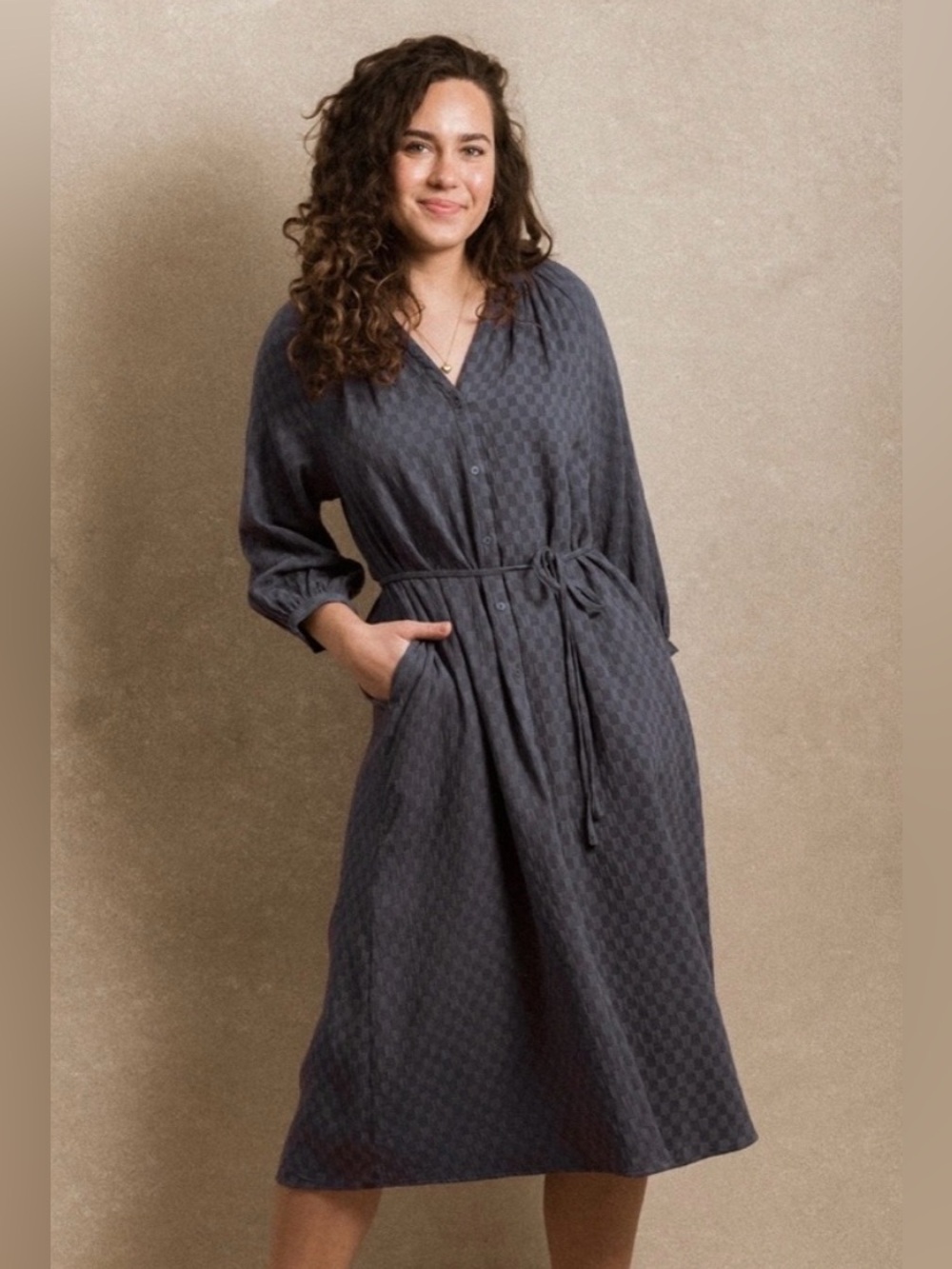 NWT- Navy Blue Gingham Juneau Dress